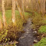Haaviku Nature Sagadi