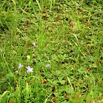 Haaviku Nature Sagadi