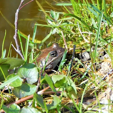 Haaviku Nature Κάμπινγκ *
