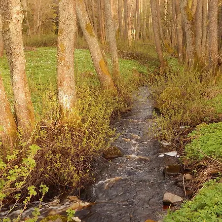 Haaviku Nature Sagadi