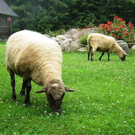 Haaviku Nature