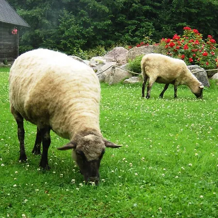 Haaviku Nature