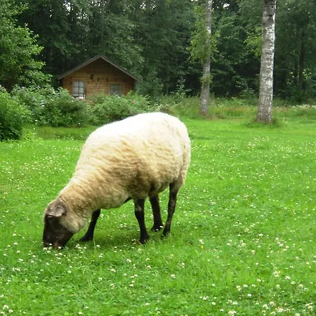 Campingplatz Haaviku Nature *