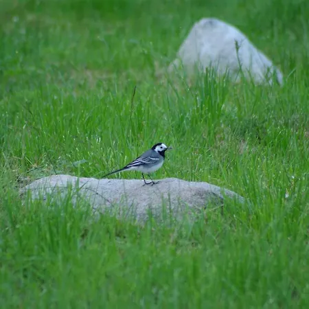 Κάμπινγκ Haaviku Nature *