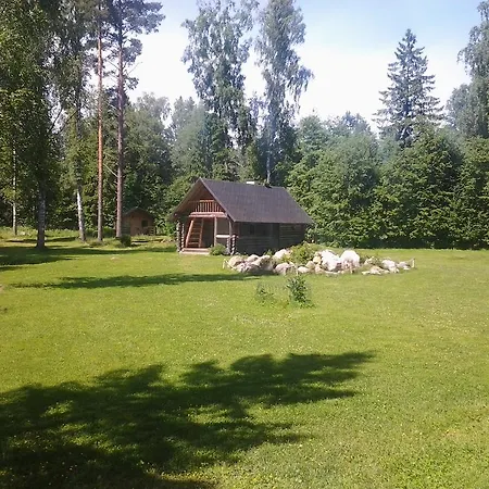Campsite Haaviku Nature