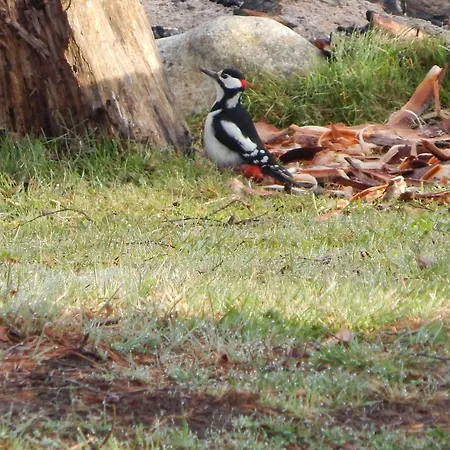 Haaviku Nature Campeggio Sagadi