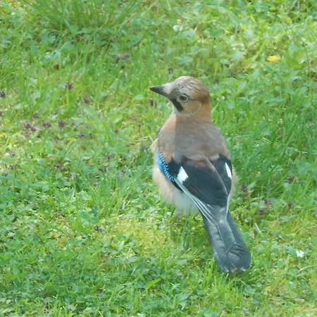 Haaviku Nature * Sagadi