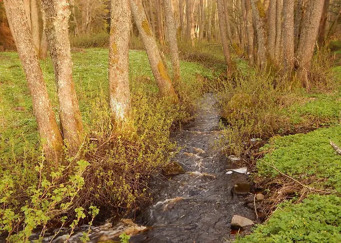 Haaviku Nature Sagadi