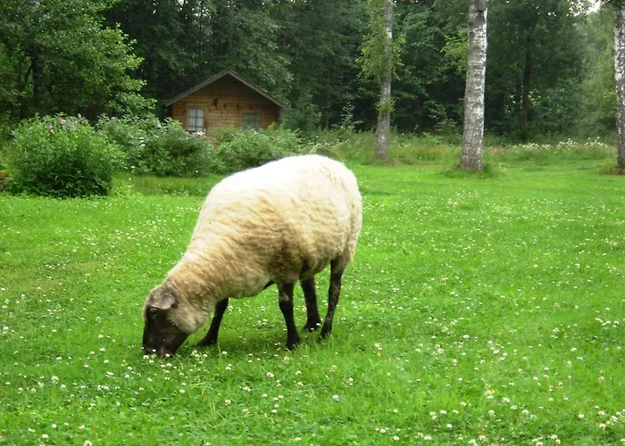 Campeggio Haaviku Nature *