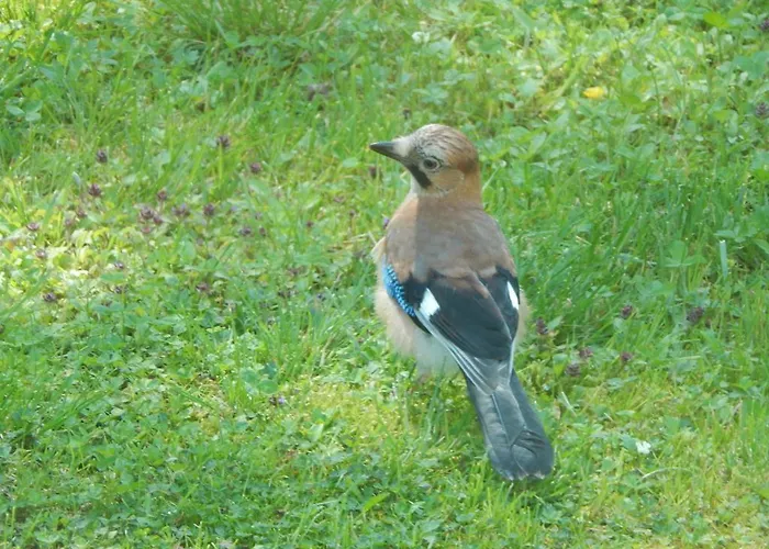 Haaviku Nature * Sagadi